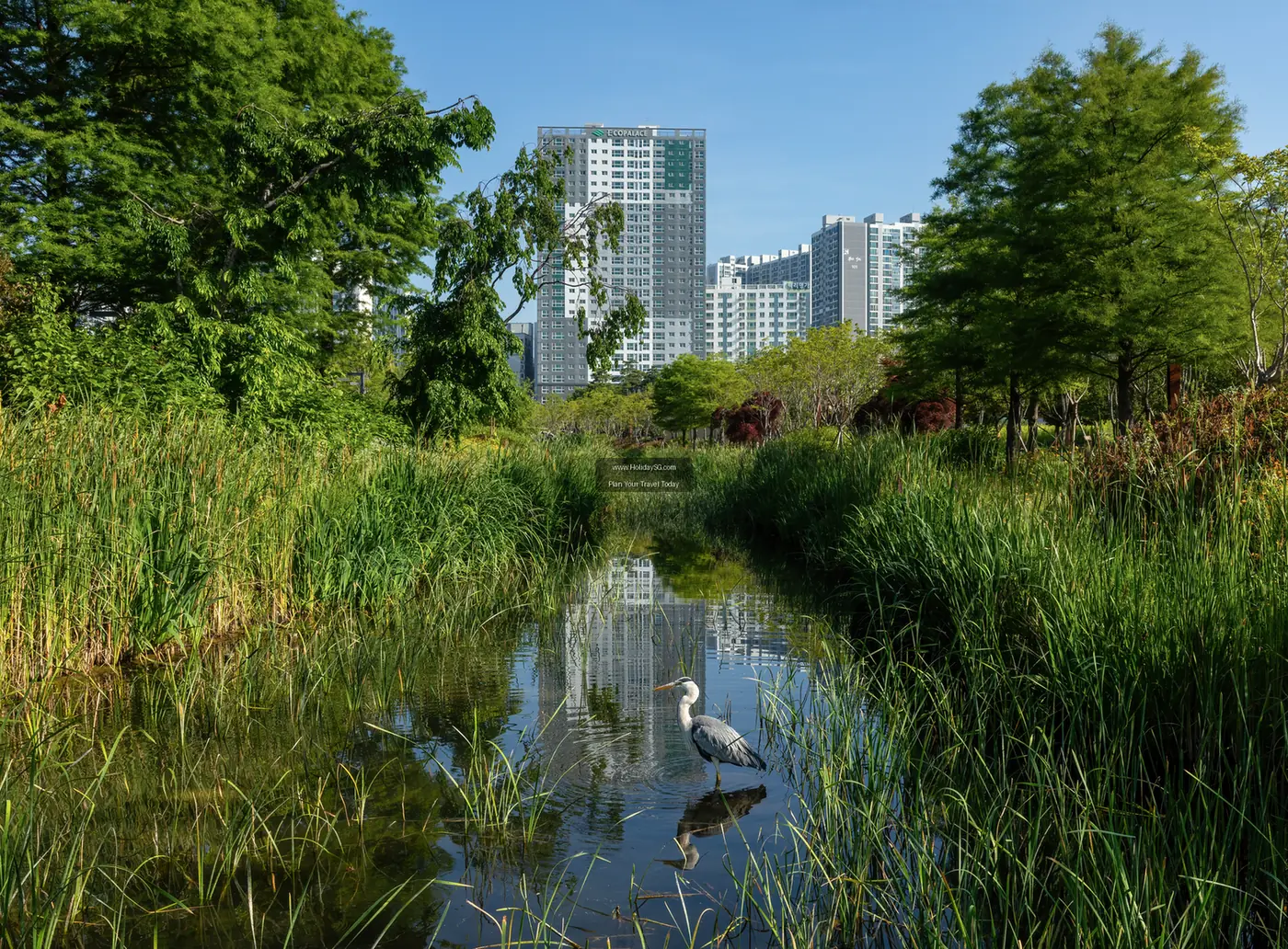 Top Day Trips from Busan: Explore Gyeongnam’s Hidden Gems